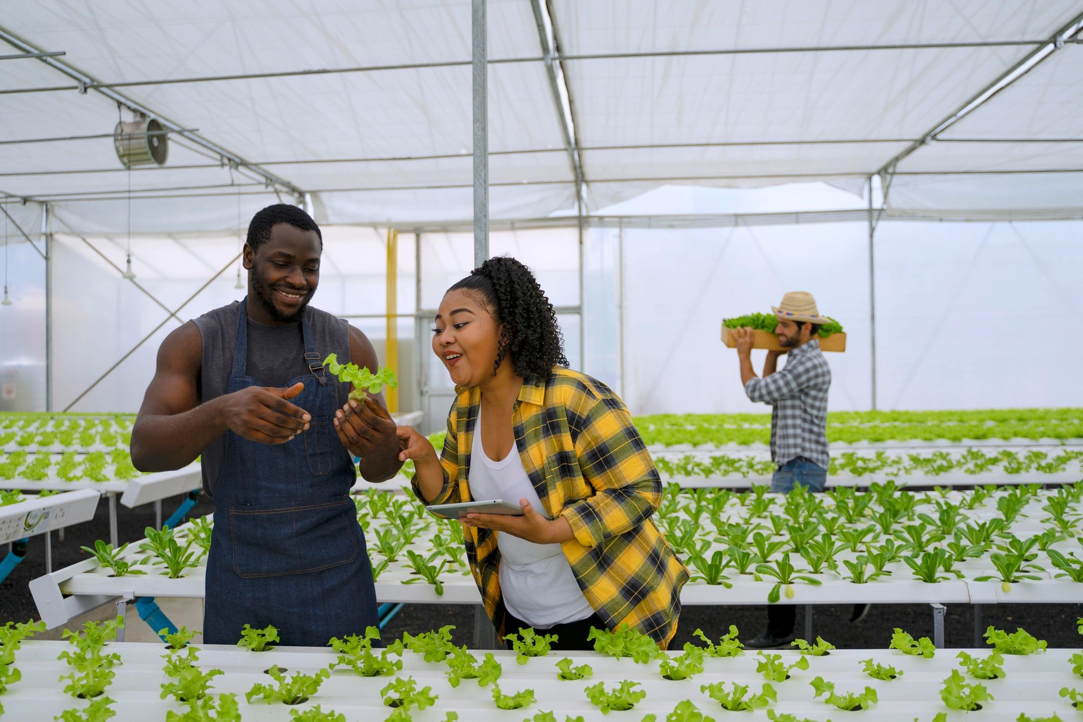 Grower working with crops in a modern farm setting