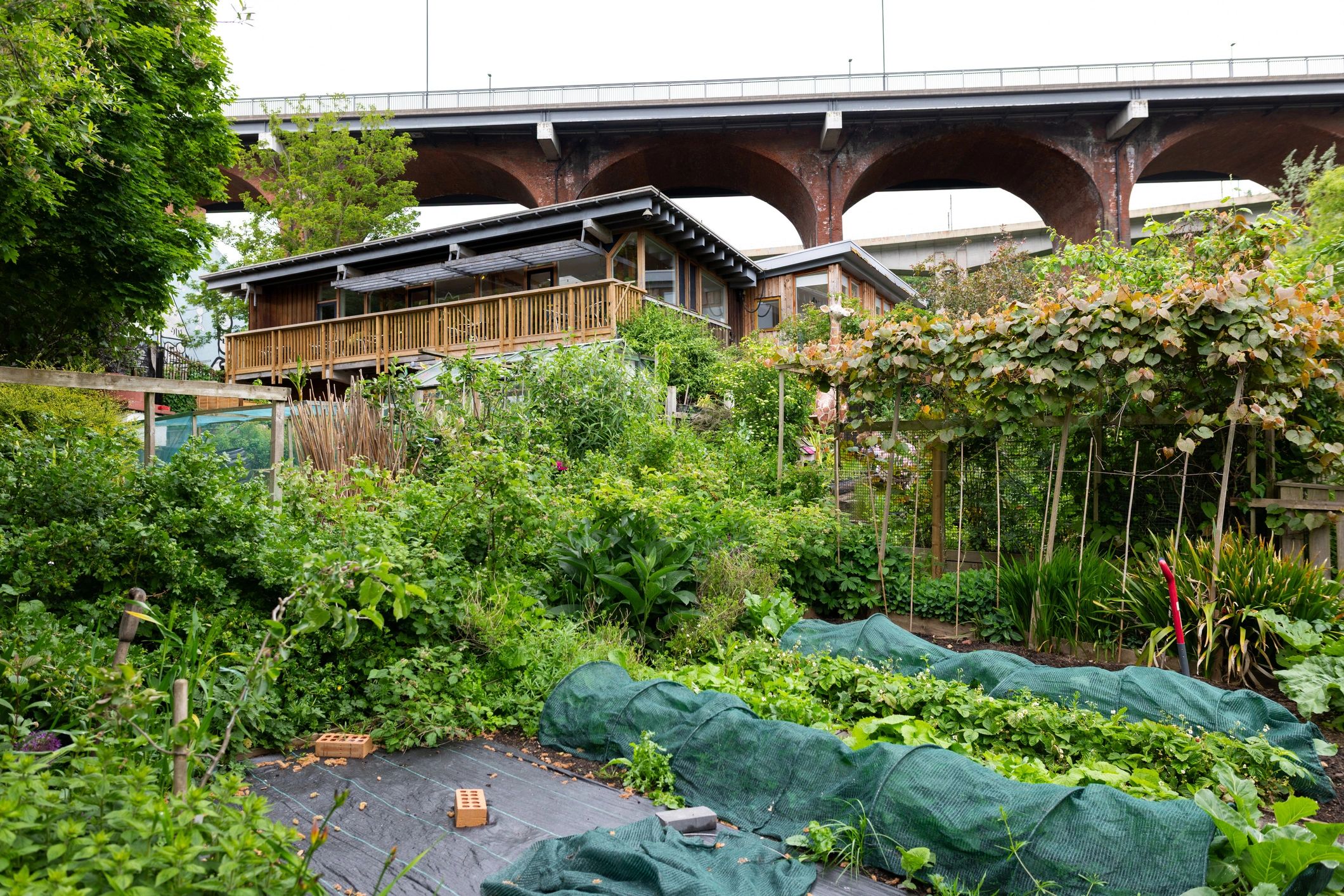 Community farm garden representing sustainable growing