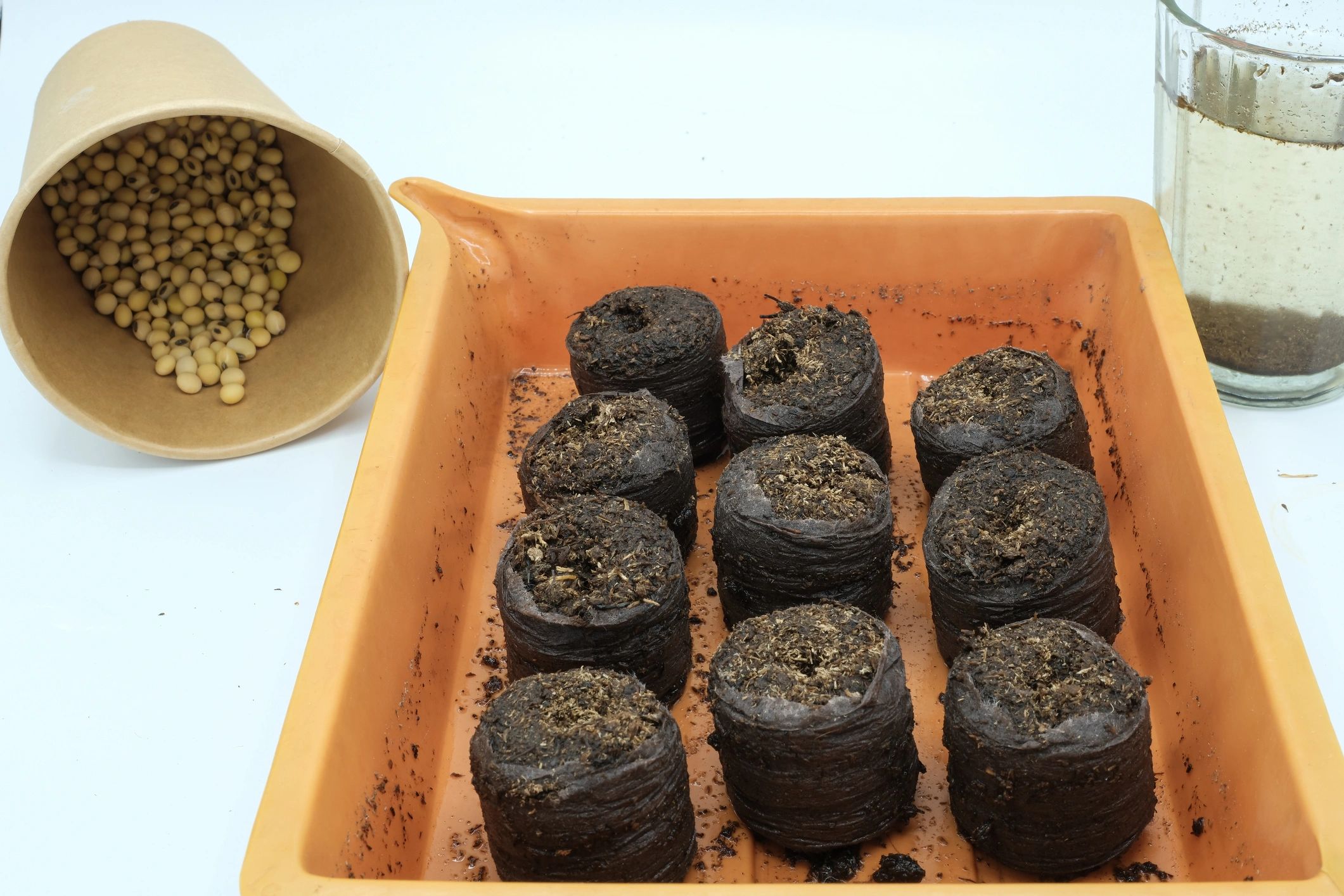 Seedling trays and organic growing medium for nursery use