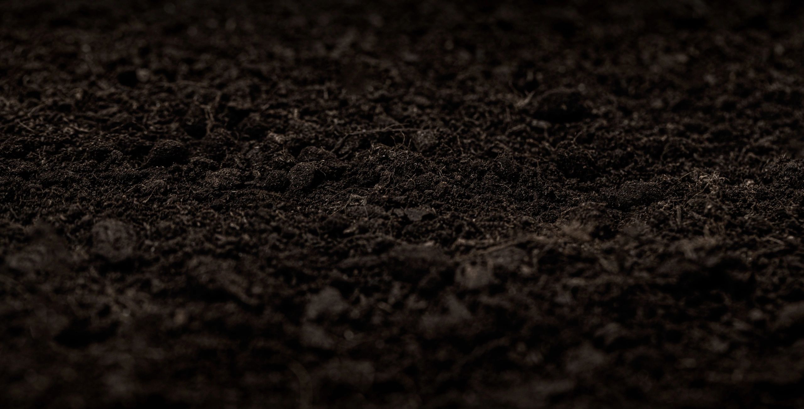 Fertile dark soil texture for organic growing